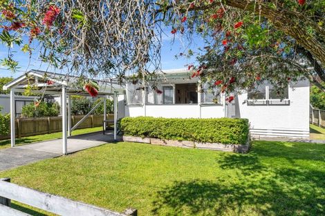 Photo of property in 213a Sylvia Road, Whangamata, 3620
