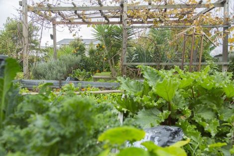 Photo of property in 79 Gordon Street, Dargaville, 0310