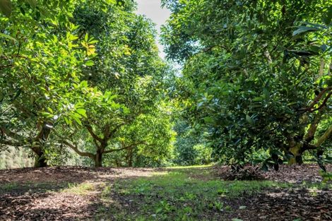 Photo of property in 50 Wright Road, Dairy Flat, Albany, 0794