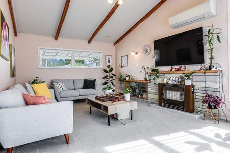 Photo of property in 27 Claremont Avenue, Chartwell, Hamilton, 3210