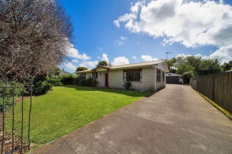 Photo of property in 10 Fitzroy Street, Normanby, Hawera, 4614