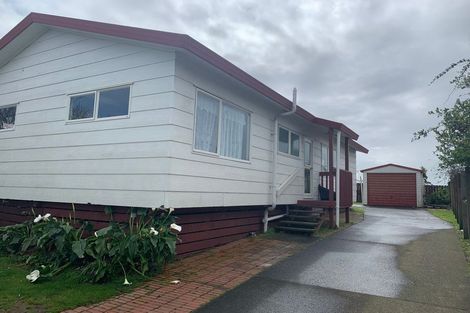 Photo of property in 29 Barneys Farm Road, Clendon Park, Auckland, 2103