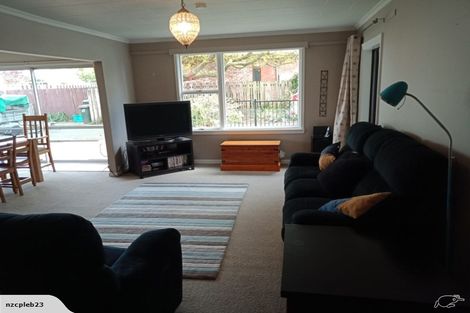 Photo of property in 207 Middle Road, Allenton, Ashburton, 7700