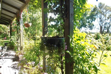 Photo of property in Seaforth Homestead, 246 Seadown Road, Seadown, Timaru, 7973