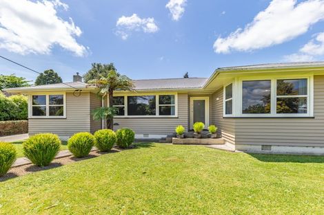 Photo of property in 17 Hobson Street, Levin, 5510