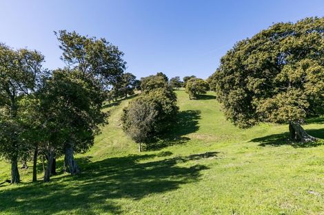 Photo of property in 455 Anaroa Road, Raukawa, Hastings, 4174