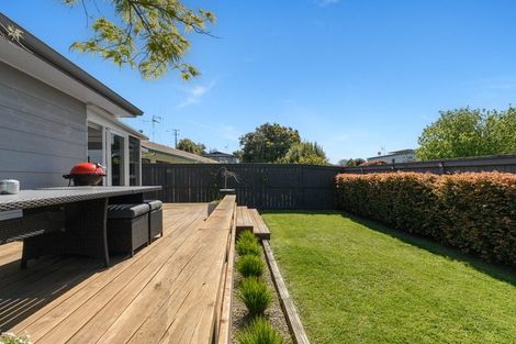 Photo of property in 117b Ngatai Road, Otumoetai, Tauranga, 3110