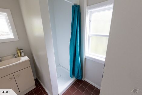 Photo of property in 52 Norway Street, Aro Valley, Wellington, 6012