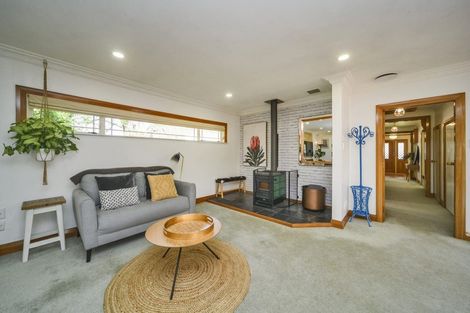 Photo of property in 57 Guy Avenue, Takaro, Palmerston North, 4410