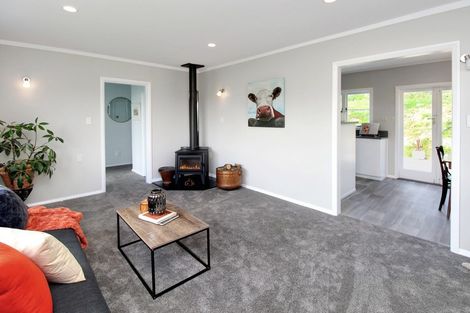 Photo of property in 160 Whetukura Road, Ormondville, Dannevirke, 4977