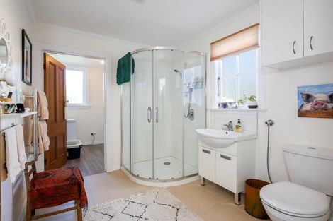 Photo of property in 99 Eglinton Road, Mornington, Dunedin, 9011