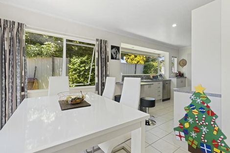 Photo of property in 24a Hobson Street, Maeroa, Hamilton, 3200