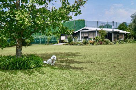 Photo of property in 3 Donelle Place, Te Puke, 3119