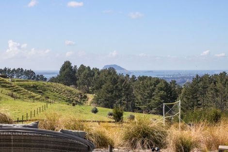 Photo of property in 349a Whakamarama Road, Whakamarama, Tauranga, 3179