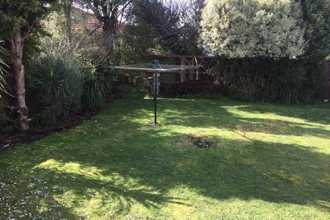 Photo of property in 60a Alison Street, Hamilton Lake, Hamilton, 3204