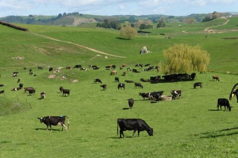 Photo of property in 1090 Rangiatea Road, Otewa, Otorohanga, 3972