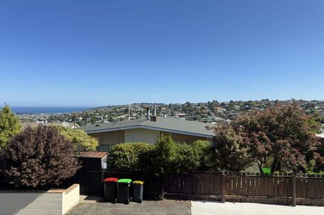 Photo of property in 161a Eglinton Road, Mornington, Dunedin, 9011