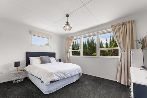 Photo of property in 40 Anglesea Street, Renwick, 7204