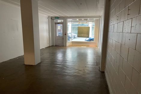 Photo of property in The Wellington Suites, 892/233 Cuba Street, Te Aro, Wellington, 6011