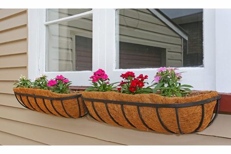 Photo of property in 8a Warriston Avenue, Waiuku, 2123