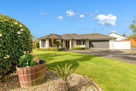Photo of property in 1 Ashmore Court, Bethlehem, Tauranga, 3110