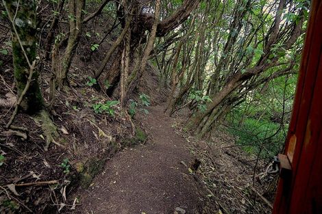 Photo of property in 24 Penryn Drive, Camborne, Porirua, 5026