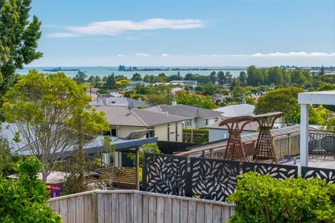 Photo of property in 214 Hill Street, Richmond, 7020