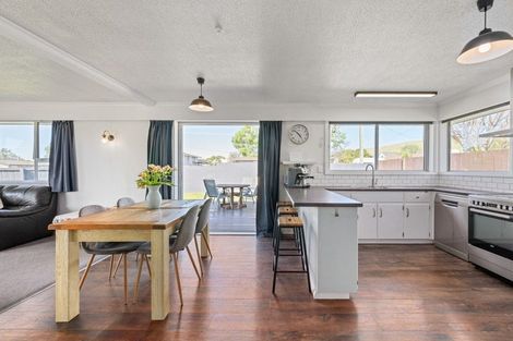 Photo of property in 38 Mckenzie Street, Witherlea, Blenheim, 7201