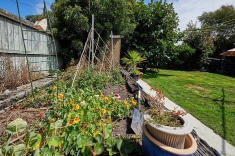 Photo of property in 3 Mill Road, Kaikoura, 7300