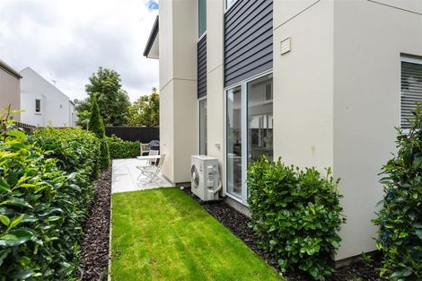 Photo of property in 7 Cheltenham Street, Merivale, Christchurch, 8014