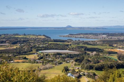 Photo of property in 225d Woodland Road, Tahawai, Katikati, 3170