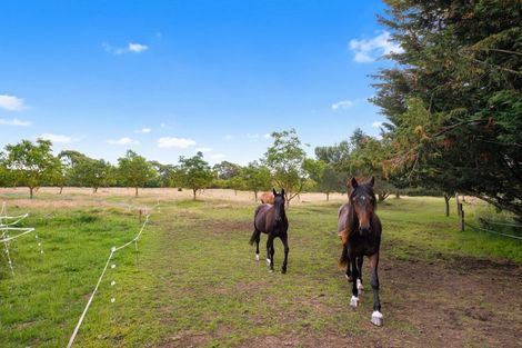 Photo of property in 195 Tyntesfield Road, Waihopai Valley, Blenheim, 7276