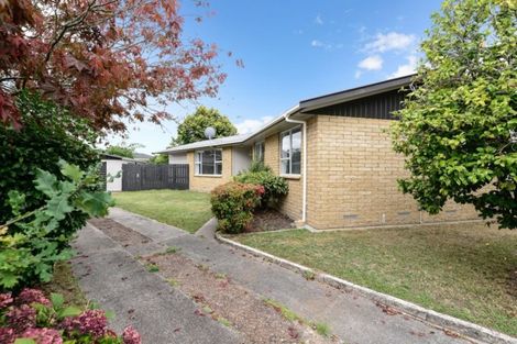 Photo of property in 13 Arthur Place, Chartwell, Hamilton, 3210