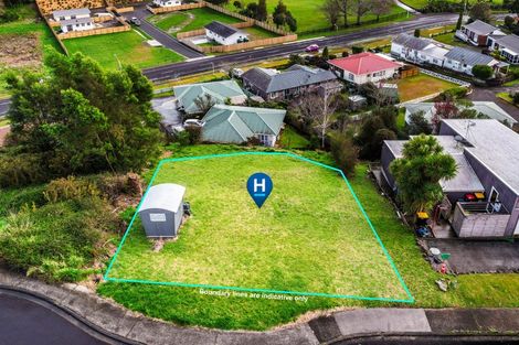 Photo of property in 19 Ohinemuri Place, Paeroa, 3600