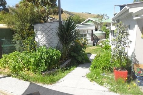 Photo of property in 252 Harington Point Road, Lower Portobello, Dunedin, 9077