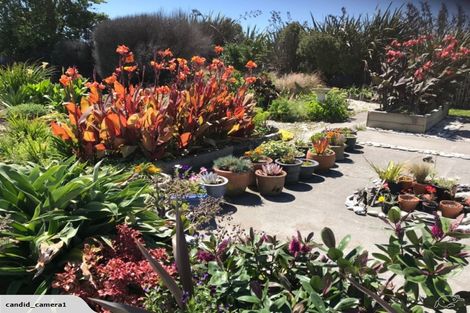 Photo of property in 33 Beach Street, Hokitika, 7810