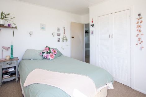 Photo of property in 284 Tremaine Avenue, Takaro, Palmerston North, 4412