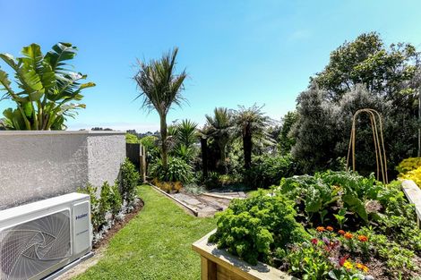 Photo of property in 81 Paynters Avenue, Strandon, New Plymouth, 4312