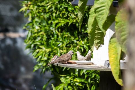 Photo of property in 3 Riverlea Drive, Katikati, 3129