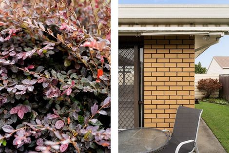 Photo of property in 93a Sixteenth Avenue, Tauranga South, Tauranga, 3112