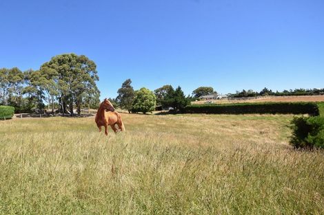 Photo of property in 57 Highland Road, Brighton, Dunedin, 9091