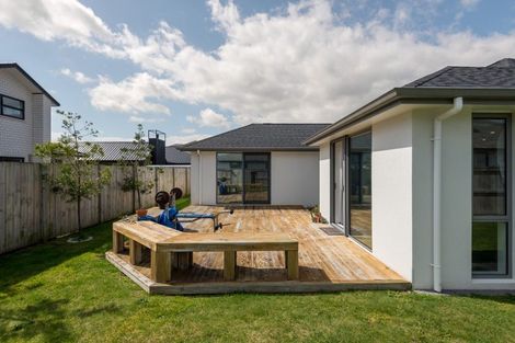 Photo of property in 14 Sydney Place, Flagstaff, Hamilton, 3210