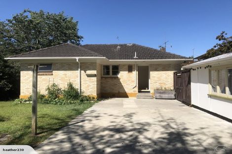 Photo of property in 41 Nixon Street, Hamilton East, Hamilton, 3216