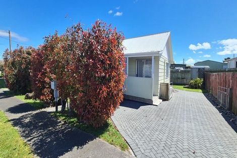 Photo of property in 50 Rangatira Street, Taupo, 3330
