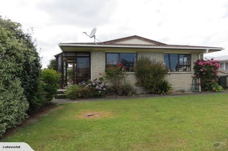 Photo of property in 21a Bowen Street, Cambridge, 3434