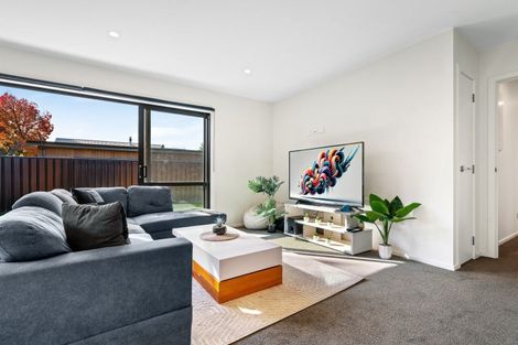 Photo of property in 43a Melmore Terrace, Cromwell, 9310