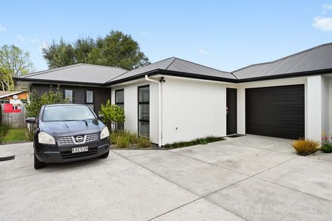 Photo of property in 9d Martin Street, Fairfield, Hamilton, 3214