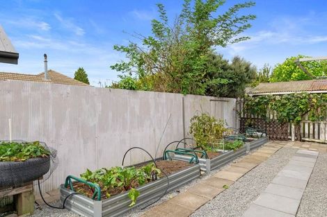 Photo of property in 58 Colman Avenue, Sockburn, Christchurch, 8042