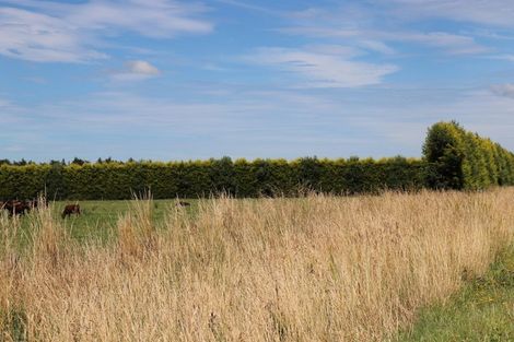 Photo of property in 115 Winton Substation Road, Winton, 9783