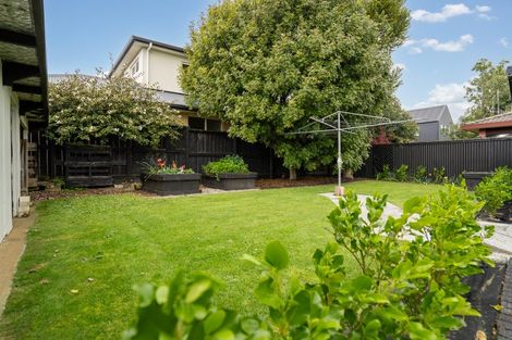 Photo of property in 47a Vogel Street, Cambridge, 3434